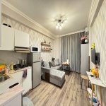 Продажа 1 комнат Новостройка, м. 20 Января метро, пос. Ясамал, Ясамал район 3