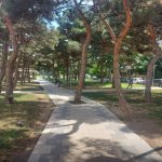 Kirayə (aylıq) 3 otaqlı Köhnə Tikili, Memar Əcəmi metrosu, 4-cü mikrorayon, Nəsimi rayonu 20