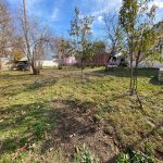 Satılır 4 otaqlı Həyət evi/villa Qəbələ 8