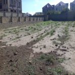 Satılır Torpaq, Novxanı, Abşeron rayonu 3