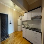 Аренда 2 комнатная Новостройка, м. 28 Мая метро, Насими район 7