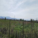 Продажа Участок Хачмаз 7