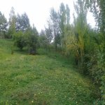 Satılır Torpaq İsmayıllı 10