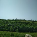 Kirayə (aylıq) 3 otaqlı Həyət evi/villa Quba 14