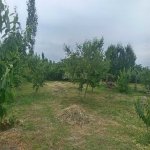 Satılır 2 otaqlı Həyət evi/villa Quba 3