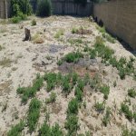 Satılır Torpaq, Novxanı, Abşeron rayonu 2