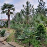 Satılır 7 otaqlı Həyət evi/villa, Mərdəkan, Xəzər rayonu 7