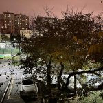Kirayə (aylıq) 2 otaqlı Köhnə Tikili, Qara Qarayev metrosu, Nizami rayonu 15