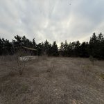 Satılır Torpaq, Şüvəlan, Xəzər rayonu 9