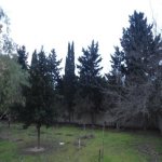 Satılır 5 otaqlı Bağ evi, Mərdəkan, Xəzər rayonu 17