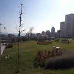 Kirayə (aylıq) 1 otaqlı Həyət evi/villa, Elmlər akademiyası metrosu, Yasamal qəs., Hüseyn Cavid parkı, Yasamal rayonu 13