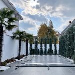 Посуточно 6 комнат Дома/Виллы, Мярдякан, Хязяр район 12