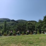 Kirayə (günlük) 4 otaqlı Həyət evi/villa Lerik 17