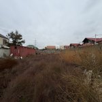 Satılır Torpaq, Buzovna, Xəzər rayonu 12