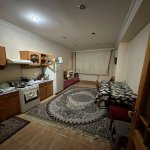 Satılır 3 otaqlı Yeni Tikili, Neftçilər metrosu, Nizami rayonu 20