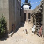 Satılır 5 otaqlı Həyət evi/villa, Maştağa qəs., Sabunçu rayonu 6