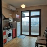 Kirayə (aylıq) 1 otaqlı Yeni Tikili, Azadlıq metrosu, Binəqədi rayonu 10