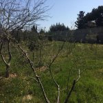 Satılır Torpaq, Mərdəkan, Xəzər rayonu 8