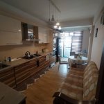 Kirayə (aylıq) 2 otaqlı Yeni Tikili, Nəriman Nərimanov metrosu, Montin qəs., Nərimanov rayonu 7