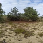 Продажа Участок, Сабунчу район 3