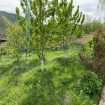 Satılır 5 otaqlı Bağ evi Xızı 2