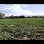 Satılır Torpaq Şəki 4