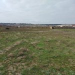 Satılır Torpaq, Digah, Abşeron rayonu 2