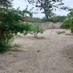 Satılır 2 otaqlı Bağ evi, Fatmayi, Abşeron rayonu 12