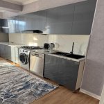Kirayə (aylıq) 3 otaqlı Yeni Tikili, 28 May metrosu, Nəsimi rayonu 11