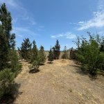 Satılır Torpaq, Şüvəlan, Xəzər rayonu 9