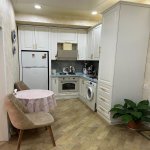 Kirayə (aylıq) 2 otaqlı Yeni Tikili, 28 May metrosu, Nərimanov rayonu 3