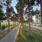Продажа 2 комнат Новостройка, м. Ахмедли метро, Ахмедли, Хетаи район 10