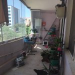 Kirayə (aylıq) 2 otaqlı Yeni Tikili, 8 Noyabr metrosu, Nəsimi rayonu 8