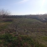 Satılır Torpaq Mingəçevir 2
