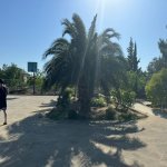 Satılır Torpaq, Şüvəlan, Xəzər rayonu 14