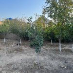 Satılır 5 otaqlı Bağ evi, Goradil, Abşeron rayonu 3