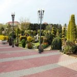 Kirayə (aylıq) 6 otaqlı Bağ evi, Mərdəkan, Xəzər rayonu 9