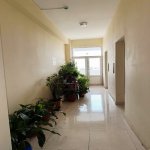 Продажа 2 комнатная Новостройка, м. Гара Гараева метро, Низаминский р-н район 20