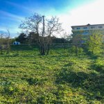 Satılır Torpaq Xaçmaz / Nabran 4