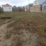 Satılır Torpaq, Digah, Abşeron rayonu 2