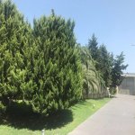 Продажа 4 комнат Дача, Шювалан, Хязяр район 15