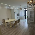 Kirayə (aylıq) 2 otaqlı Yeni Tikili, Nəsimi metrosu, Binəqədi rayonu 12