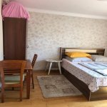 Посуточно 2 комнат Новостройка, м. 28 Мая метро, Насими район 4