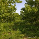 Satılır Torpaq Xaçmaz 4