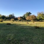 Satılır 3 otaqlı Həyət evi/villa Oğuz 10