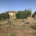 Продажа 3 комнат Дача, Шаган, Хязяр район 6