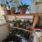 Продажа 2 комнатная Новостройка, Масазыр, Абшерон район 10