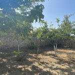 Аренда 1 комнатная Дача, пос. Пиршаги, Сабунчу район 13