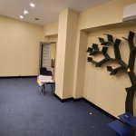 Kirayə (aylıq) 12 otaqlı Ofis, Nizami metrosu, Yasamal rayonu 2