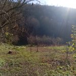 Satılır Torpaq Qusar 3